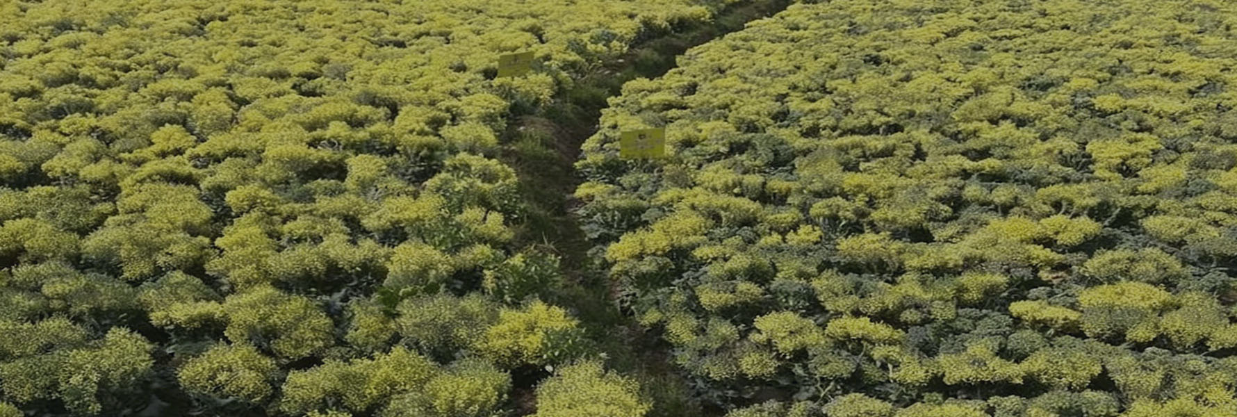 堅持創(chuàng)新